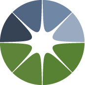 Buzz Drip Irrigation Installation