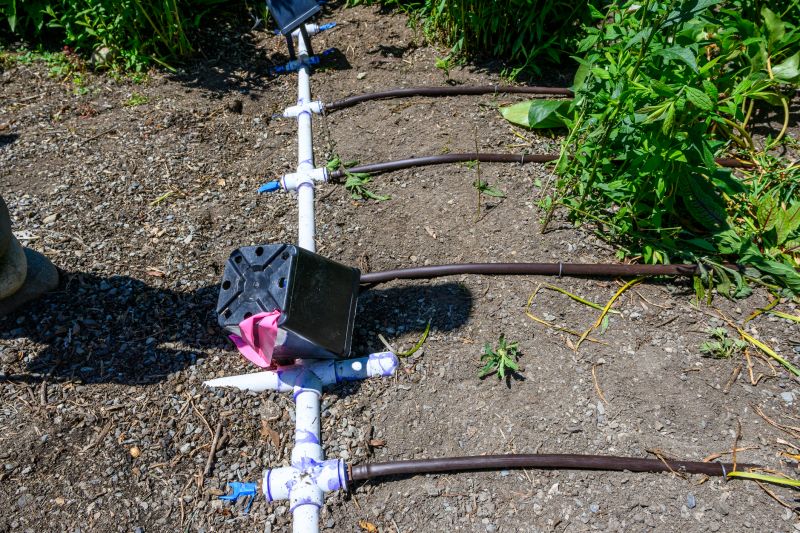 Drip System Installation in Honolulu, HI
