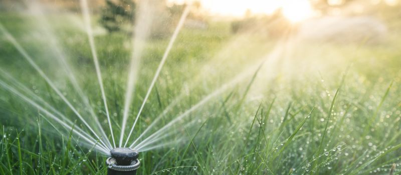 Grass Sprinkler Repair in Honolulu, HI