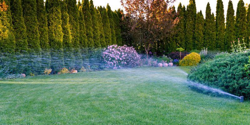 Irrigation Winterization in Carson City, NV