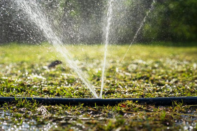 Lawn Sprinkler Repair in Aiken, SC