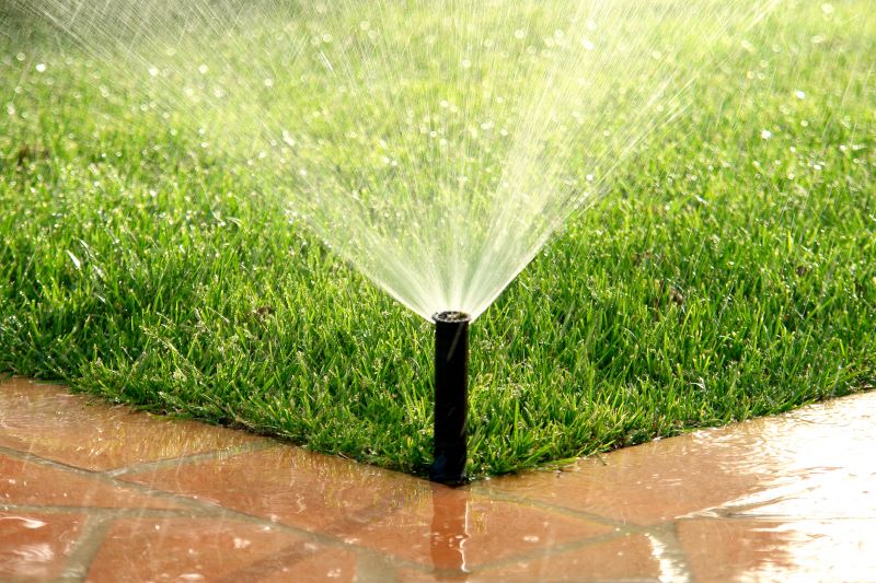 Sprinkler Blowout Service in Carson City, NV