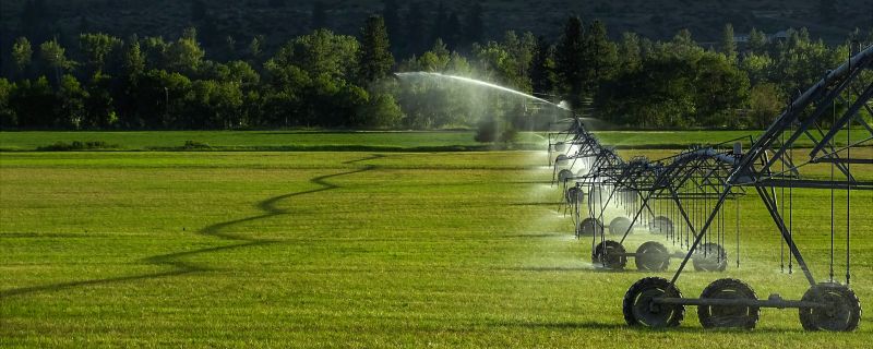 Yard Irrigation Installation in Aiken, SC